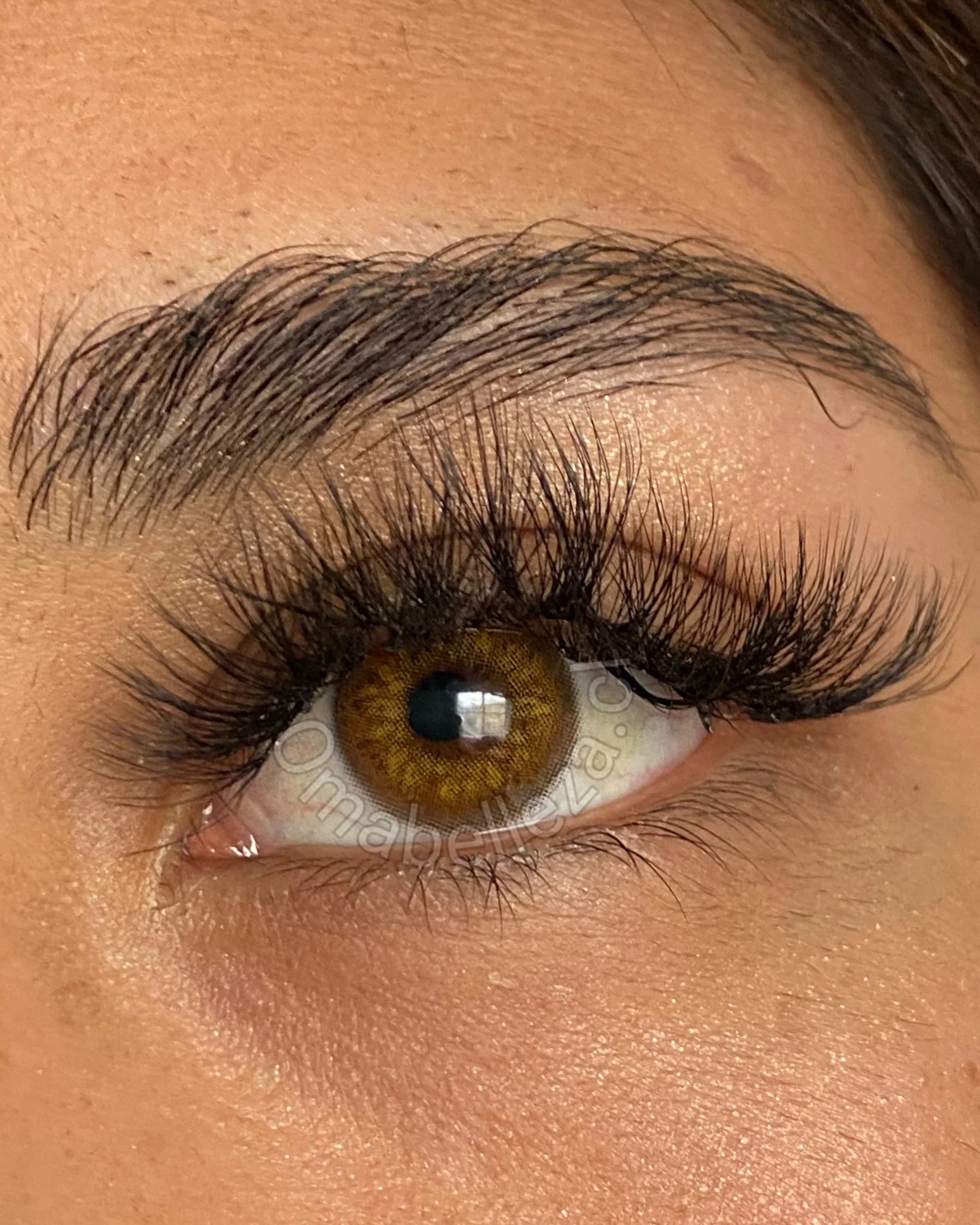 Russian Brown
