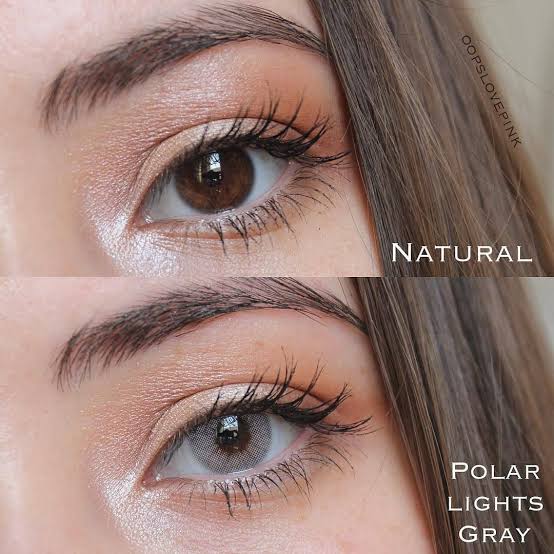 Polar Gray